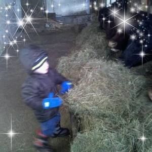 Meet your Posher, Barbara